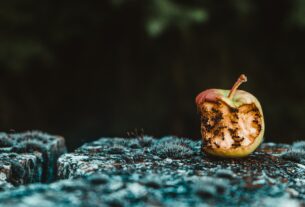 Ugryzione jabłko