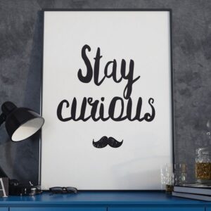 Stay curious - plakat typograficzny, wymiary - 20cm x 30cm, kolor ramki - biały