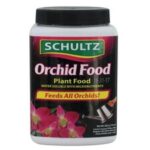 Orchid. Food 283g