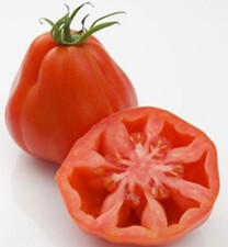 Syngenta pomidor. Arawak. F1 500 n[=]