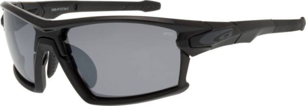 Okulary przeciwsłoneczne. Goggle. T558-4P