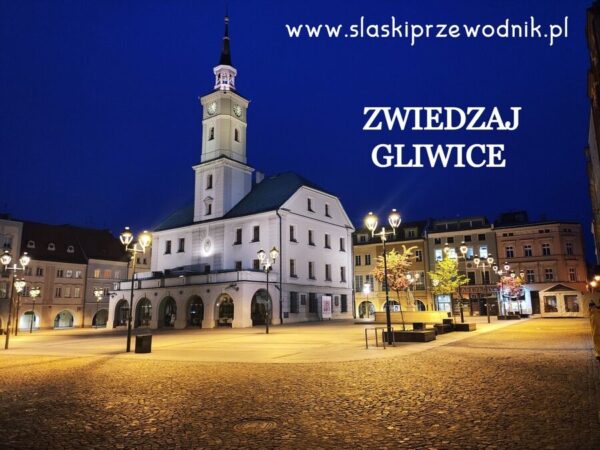 Zwiedzanie z przewodnikiem - Gliwice 3h - Śląski. Express